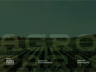 Agrohive Brand Identity