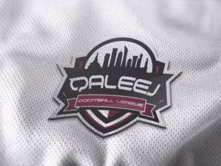 I will be your professional logo designer