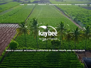 Virtual Assistant to CEO | Kay Bee Exports, India