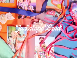 Branding and website for an outrageously fabulous brand