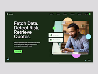 Rover Analytics - Webflow Development
