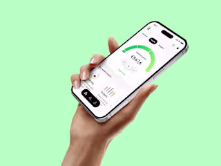 Steady | Personal Finance (Mobile app)