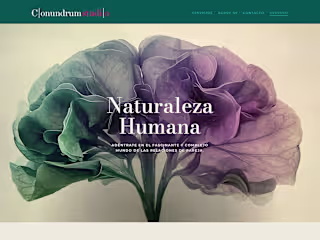 Website for Conundrum Studio