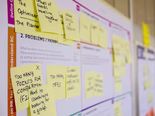Project Management for a Government Agency
