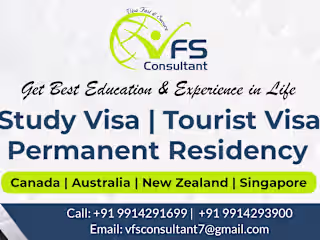 VFS Consultant