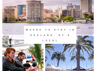 Travel Lemming (Content Writing + SEO)