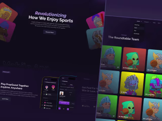 Website on Webflow for Knights of Degen