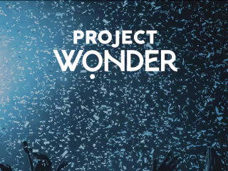 Project Wonder Website Design