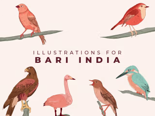 Bari-Illustrations