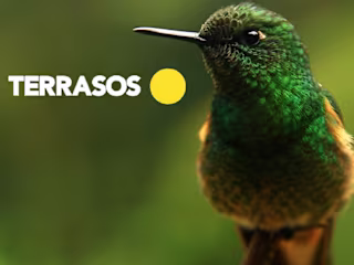 TERRASOS | Director/Realizador | 2023
