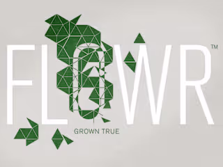 Proposed logo / identity system for cannabis co.