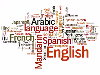 Multilingual Translation