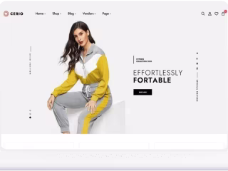 Ecommerce Website Design,  Ecommerce Wordpress website project