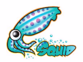 Dockerized Squid Proxy 