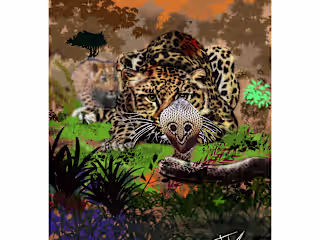 Animals / Nature