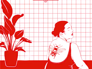 Red and Blue - illustration collection