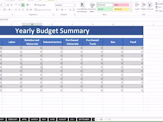 Budget Summary