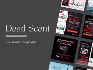 B2C: Marketing & Digital Ads 