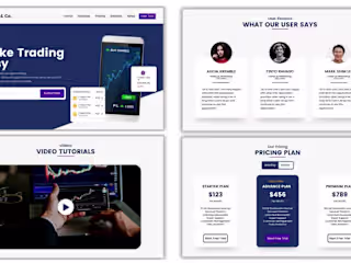 Provide professional web development services