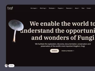 Fungi Foundation Web Development & Design