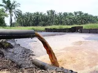 
The Environmental Impact of Brewery Effluent