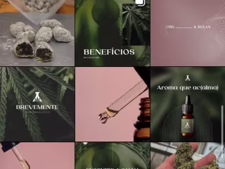 Social Media Management - CBD Store
