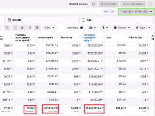 Increased Purchase Conversion Value by 785% in 2023