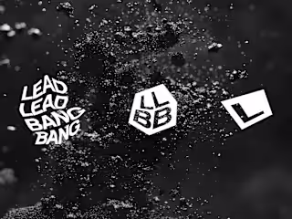 LeadLeadBangBang - Branding + Website 