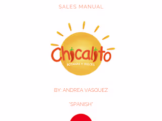 BRANDING + SALES PLAN CHICALITO