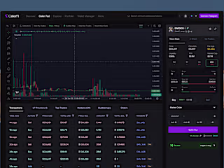 Seamless User Experience for CelerFi