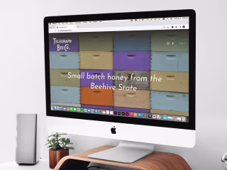 Telegraph Bee Co. | Website Design
