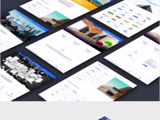 UI Design for Consultancy 