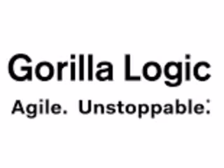 Senior web developer