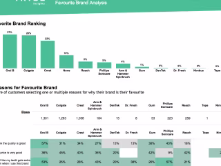 Market Research Brand Reporting
