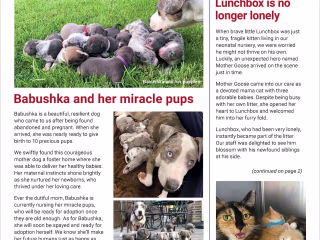 Short Form Copywriting Samples