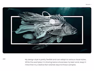 Static/Print Design