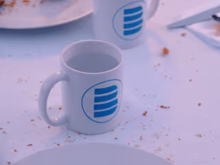 Brand Bumper 