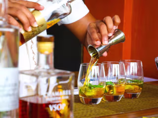 Taught Newbies How to Create Simple Cocktails