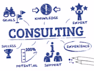 business consultant