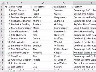 Collect Real Estate Agents Details