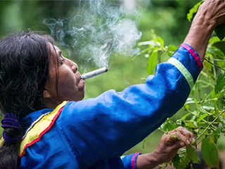 SEO Journalism - Sacred Tobacco