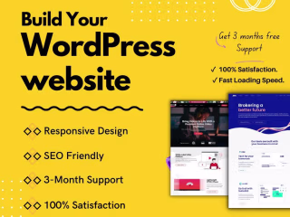 Custom WordPress Website for Ecommerce Business