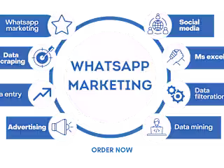 Revolutionize Your Marketing Strategy with Our Professional What
