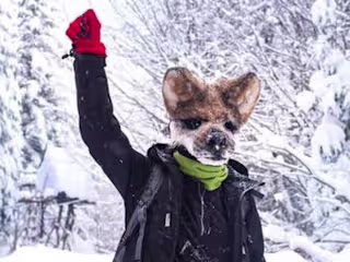 VICE: Wolf Mask-Wearing Protesters Protecting Ancient Forests