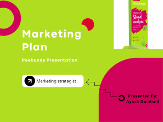 Peebuddy_Strategy_Ayush Dumbani.xlsx