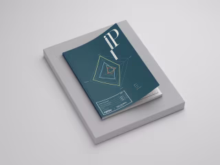 Editorial Design and Infographics for a recurring IP Report