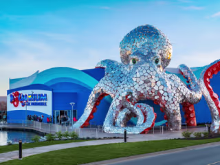 Guest Blog Post: "A Day Trip to Branson" | Love Springfield