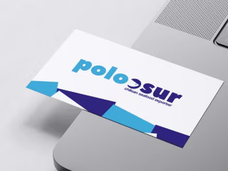 POLO SUR | Building a Brand Identity 