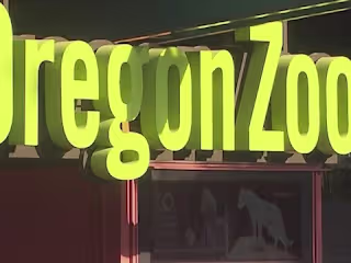Oregon Zoo says ‘unauthorized actor’ caused data breach