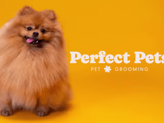Perfect Pets | Branding
